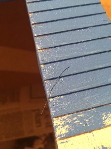 A picture of a paint bristle that has fallen out of the brush and landed on the dollhouse.