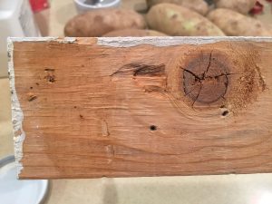 A picture of the coffee based homemade wood dye after it dried. There's something there, but I wouldn't call the wood dyed